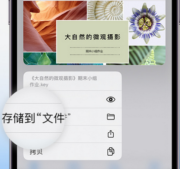 汤旺河apple维修中心分享iPhone文件应用中存储和找到下载文件