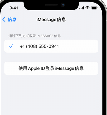 汤旺河apple维修iPhone上无法正常发送iMessage信息 