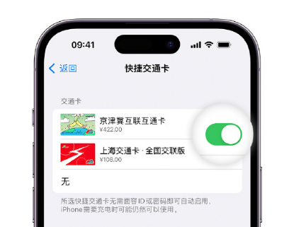 汤旺河apple维修点分享iPhone上更换Apple Pay快捷交通卡手绘卡面 