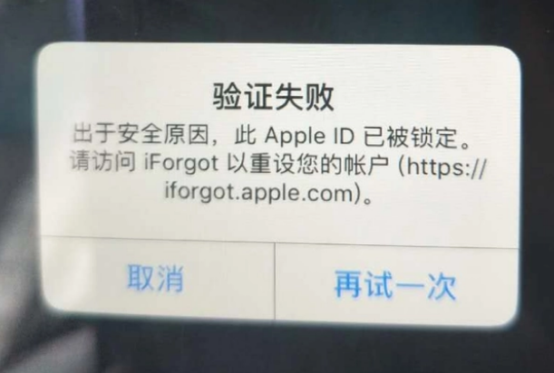 汤旺河iPhone维修分享iPhone上正常登录或使用AppleID怎么办 