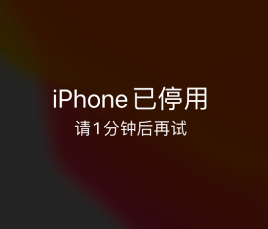 汤旺河苹果手机维修分享:iPhone 显示“不可用”或“已停用”怎么办？还能保留数据吗？ 