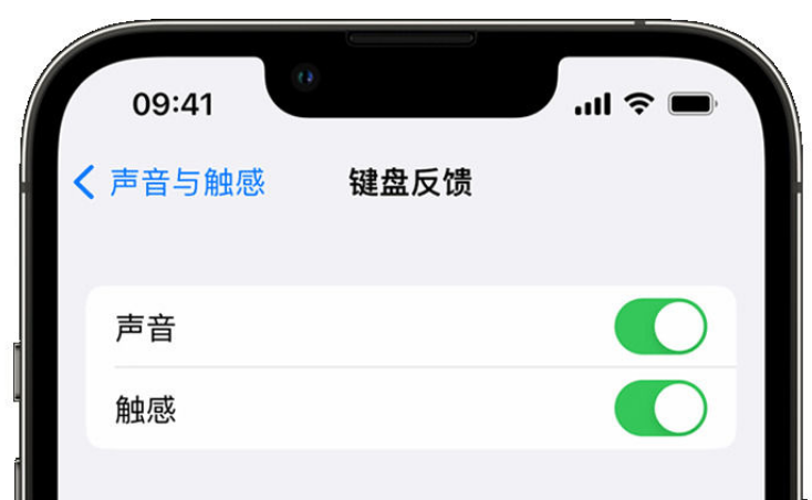 汤旺河苹果手机维修分享iPhone 14触感键盘使用方法 