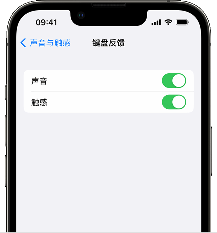 汤旺河苹果14维修店分享如何在 iPhone 14 机型中使用触感键盘 