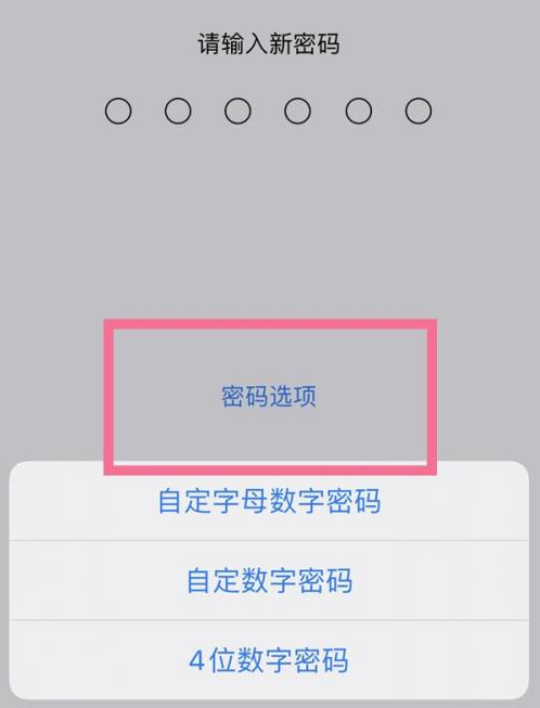 汤旺河苹果14维修分享iPhone 14plus设置密码的方法 