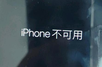 汤旺河苹果服务网点分享锁屏界面显示“iPhone 不可用”如何解决 