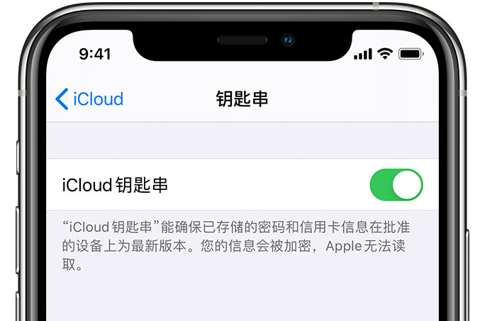 汤旺河苹果手机维修分享在 iPhone 上开启 iCloud 钥匙串之后会储存哪些信息 