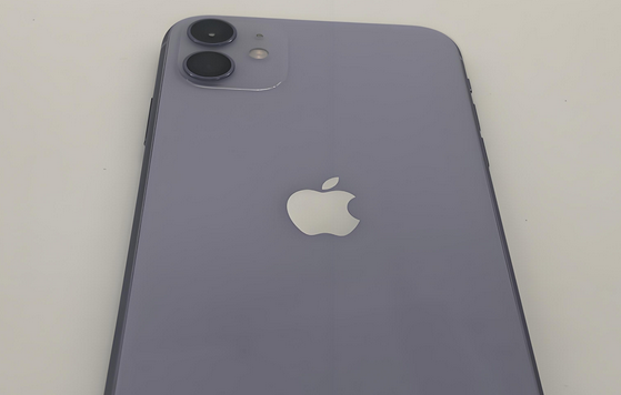 汤旺河苹果11系统维修分享iPhone11手机系统崩溃无法开机如何解决 